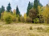 Lot 1 Mountain Springs - Photo 2