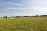 306059 24 Street - Photo 8