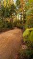90 Slopeside Drive - Photo 6