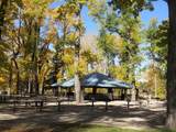 3223 83 Street - Photo 46