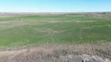 1001 Fox Lake Trail - Photo 4