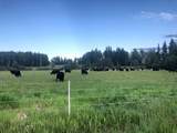 NW-4-54 -17-W5 - Photo 11