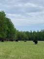 NW-4-54 -17-W5 - Photo 14
