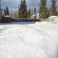 6118 11 Avenue - Photo 3