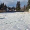 6118 11 Avenue - Photo 4