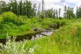 40518 Highway 821 - Photo 14
