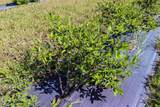 705068 82 Range - Photo 17