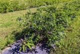 705068 82 Range - Photo 24