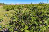 705068 82 Range - Photo 25