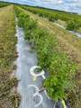 705068 82 Range - Photo 26