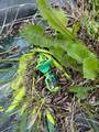 705068 82 Range - Photo 27