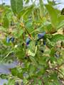 705068 82 Range - Photo 28