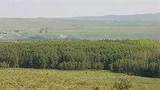  W-5.R-5,T-26,S-13,Q-Sw And W-5,R-5,T-26, S-13, Q-S - Photo 21