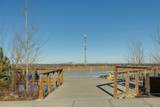 16 Treeline Lane - Photo 44