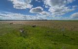 4 431029 Range Road 261 - Photo 6