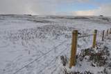 Range Road 14 Big Hill Springs - Photo 10