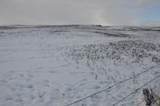 Range Road 14 Big Hill Springs - Photo 11
