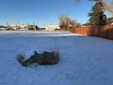 113 7 Avenue - Photo 5