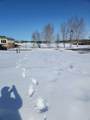  25054 South Pine Lake Road - Photo 4