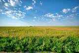 182020 Range Road 254 - Photo 15
