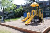 315 Southampton Drive - Photo 34