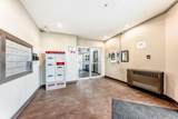 1140 Taradale Drive - Photo 12