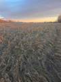  10 Acres - Township Road 240A - Photo 3