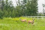 5400 Davies Street - Photo 11