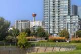 1188 3 Street - Photo 36