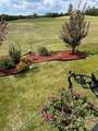 25054 South Pine Lake Road - Photo 19