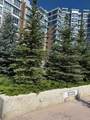 16 Varsity Estates Circle - Photo 40