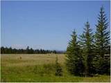  Range Road 55 - Photo 1