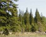  Range Road 55 - Photo 4