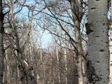 25151 Escarpment Ridge View - Photo 13