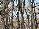 25151 Escarpment Ridge View - Photo 8