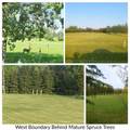 284A Range Road - Photo 5