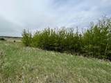 418 Sand Hills Drive - Photo 3