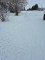 315 Haultain Avenue - Photo 3