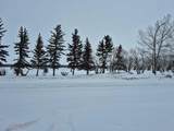 315 Haultain Avenue - Photo 4