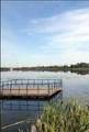 12606 Lakeshore Drive - Photo 6