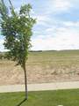 7002 38 Avenue - Photo 1