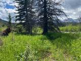 5302 19 Avenue - Photo 47
