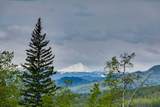 290226 316 Street - Photo 49