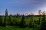290226 316 Street - Photo 50