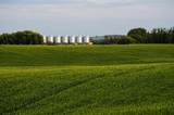 1,085 Acres - Photo 1
