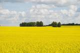 1,085 Acres - Photo 4