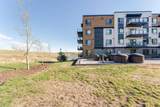 42 Cranbrook Gardens - Photo 46