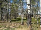 344019 22 Highway - Photo 5