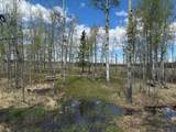344019 22 Highway - Photo 9