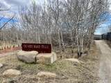 24 Hemlock Crescent - Photo 41